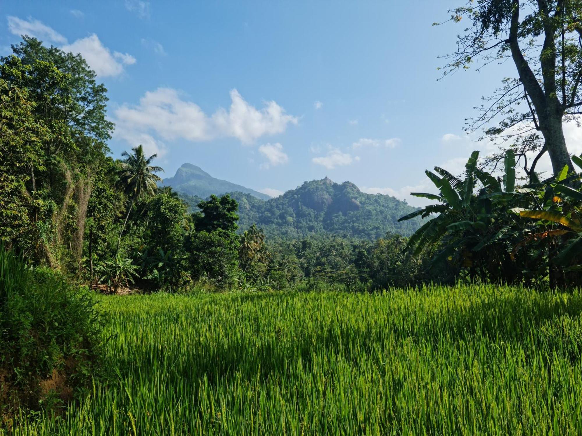 Silver Hill Ecovillage Kurunegala Eksteriør bilde