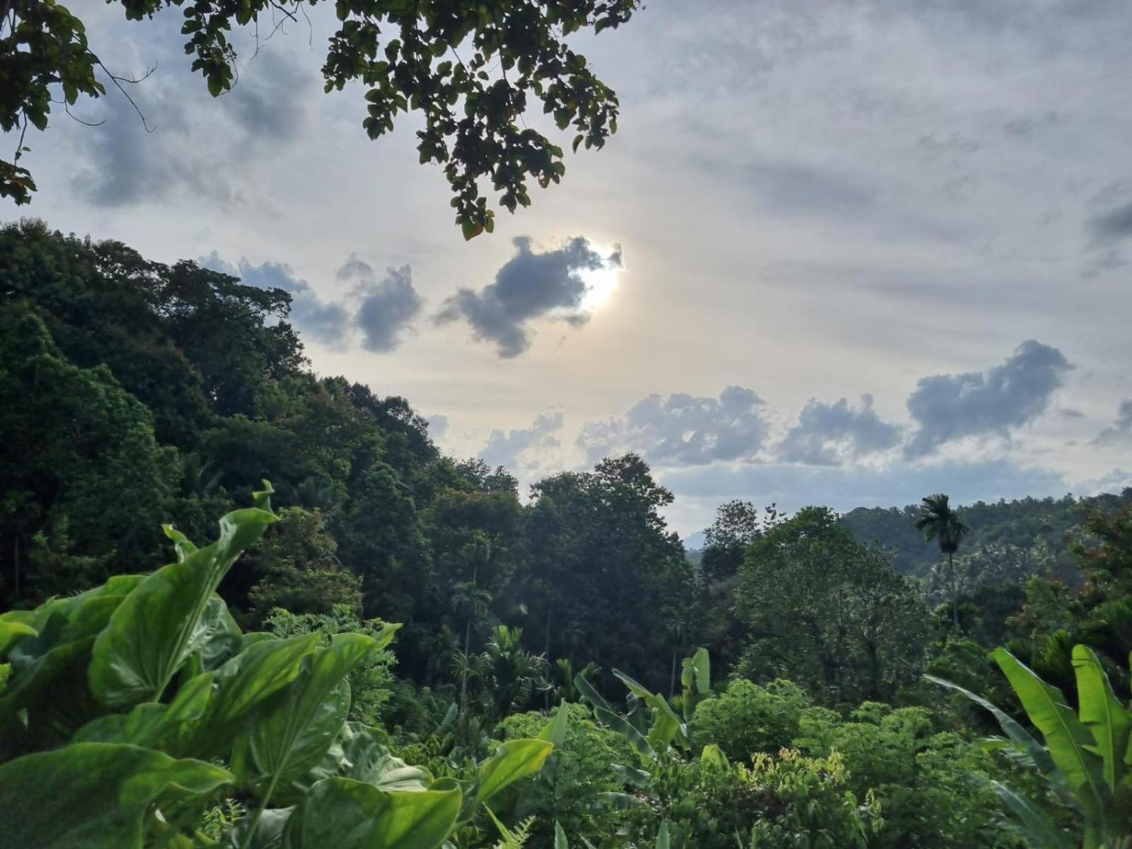 Silver Hill Ecovillage Kurunegala Eksteriør bilde