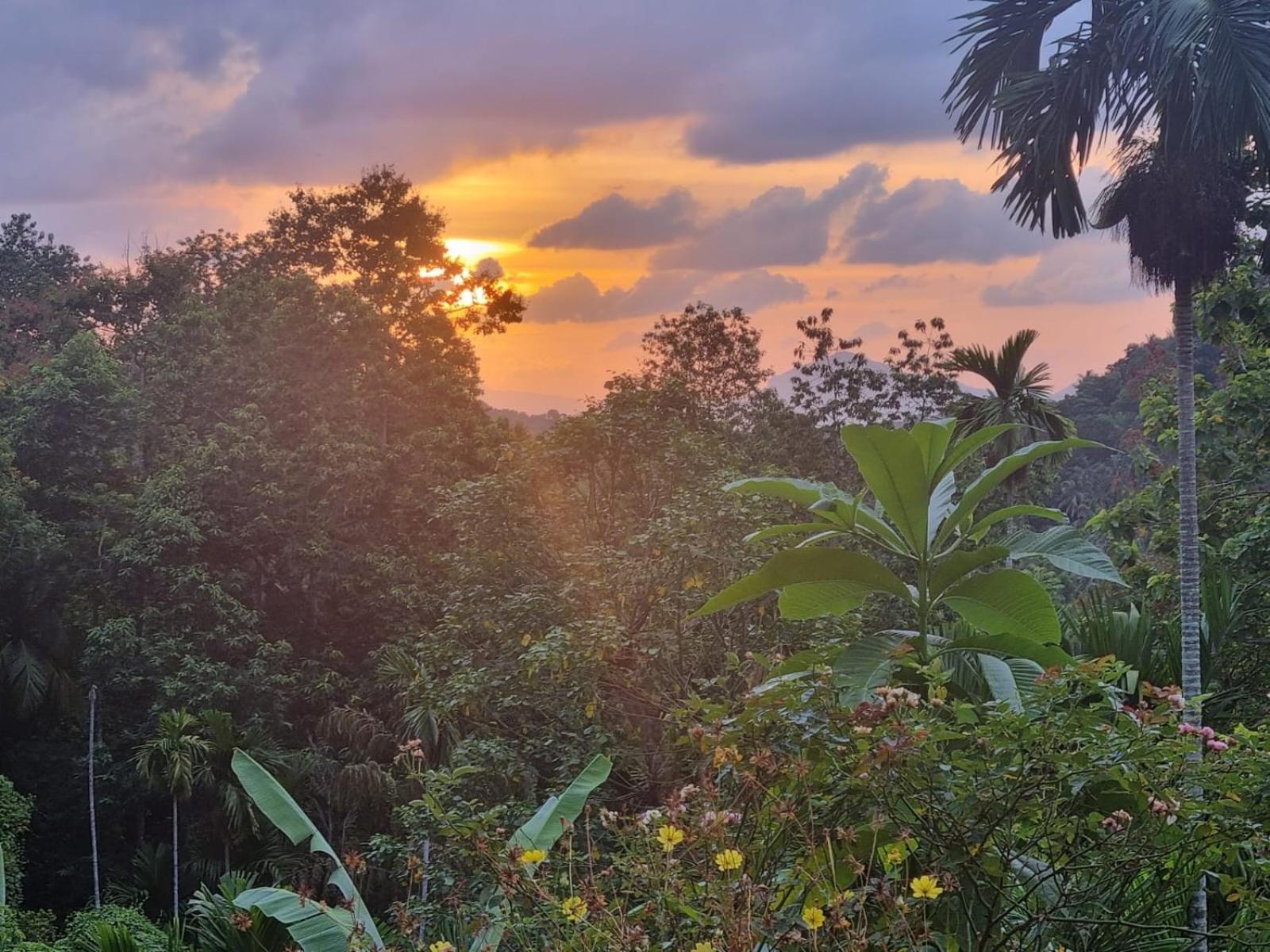 Silver Hill Ecovillage Kurunegala Eksteriør bilde