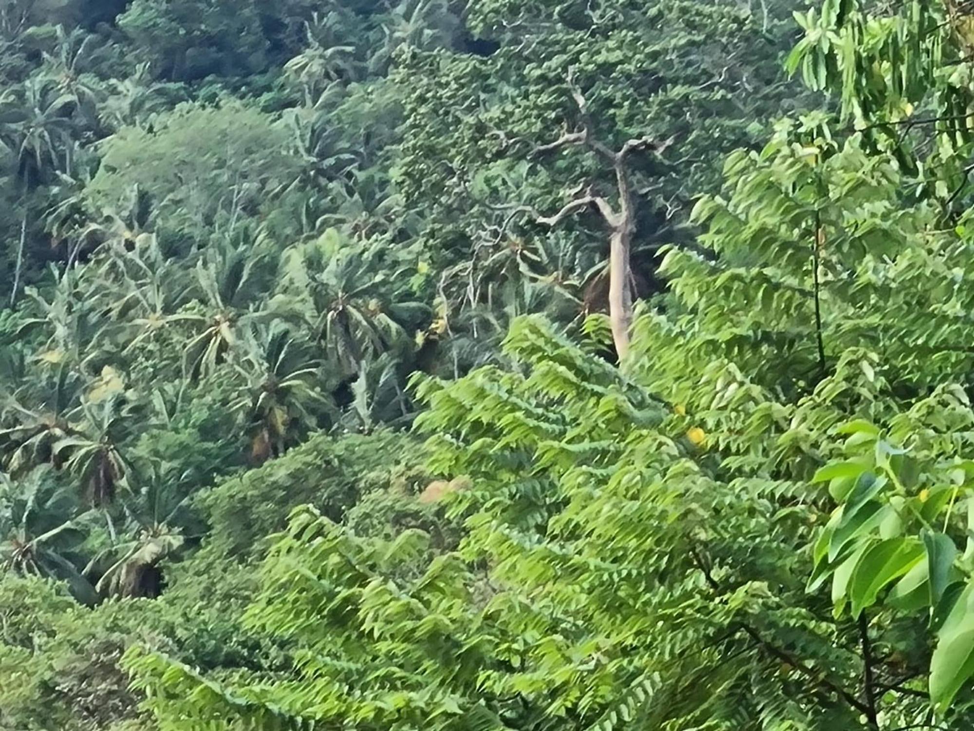 Silver Hill Ecovillage Kurunegala Eksteriør bilde