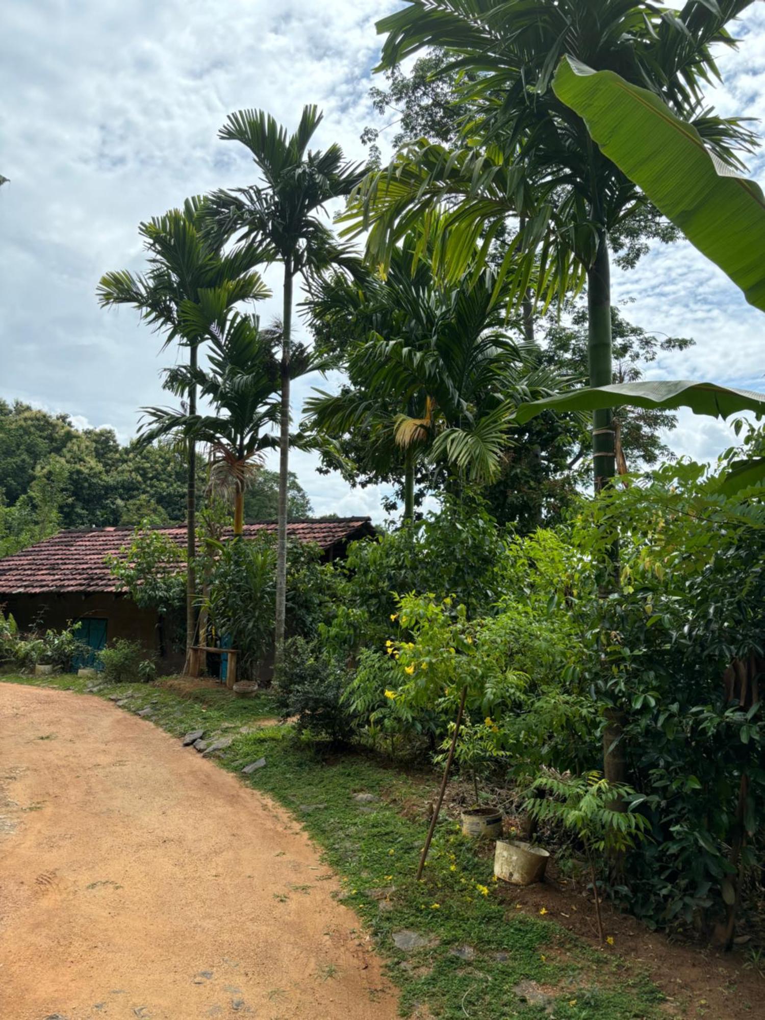 Silver Hill Ecovillage Kurunegala Eksteriør bilde